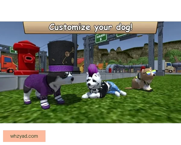 zoomdog2019：那些不为人知的故事与传奇