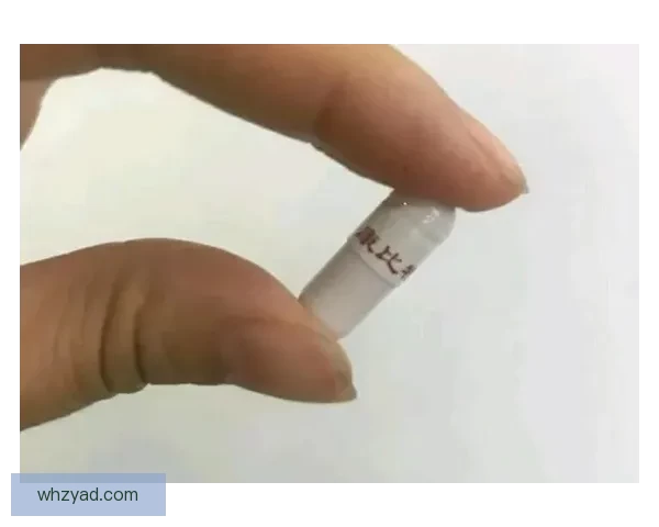 欧洲尺码日本尺码专线年费，究竟藏着哪些省钱与踩坑的秘密？ 